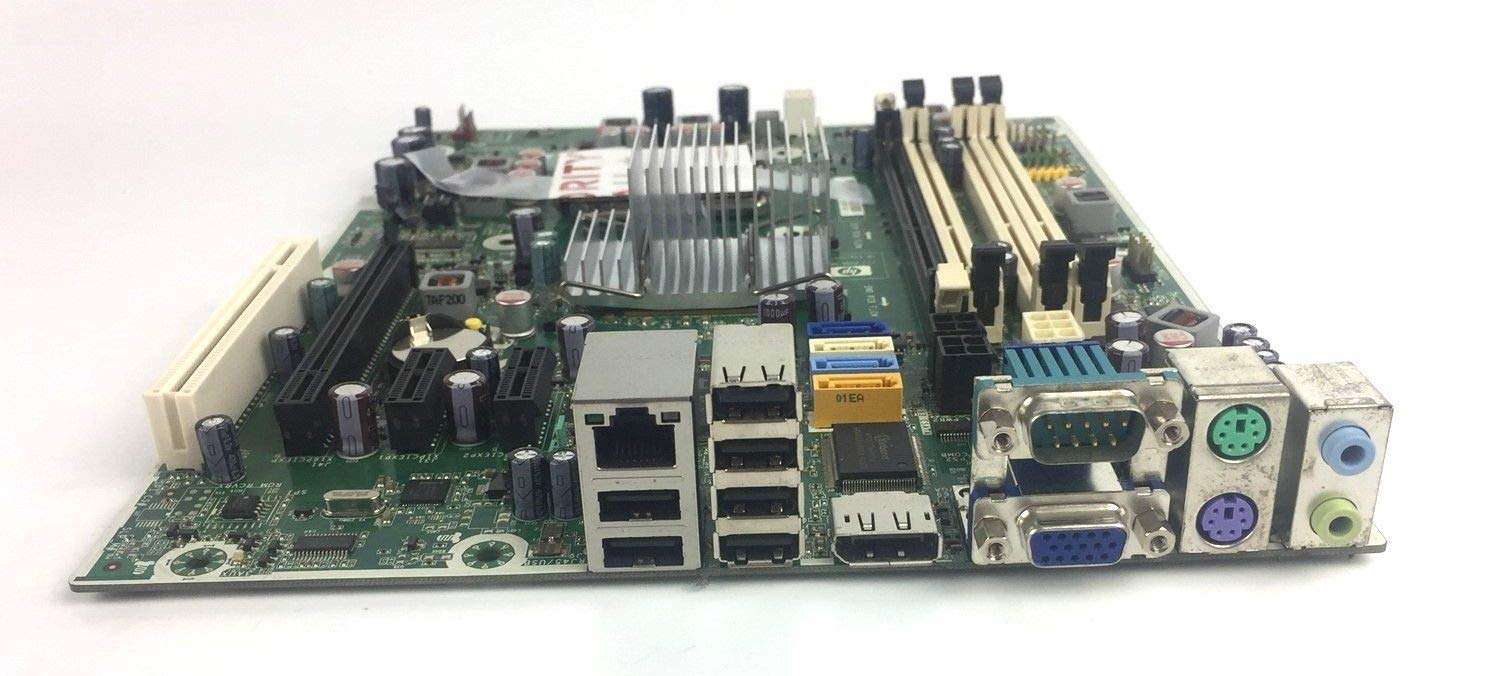 Amazon.in: Buy HP 531965-001 Pro 6000 MT/SFF System Board Online