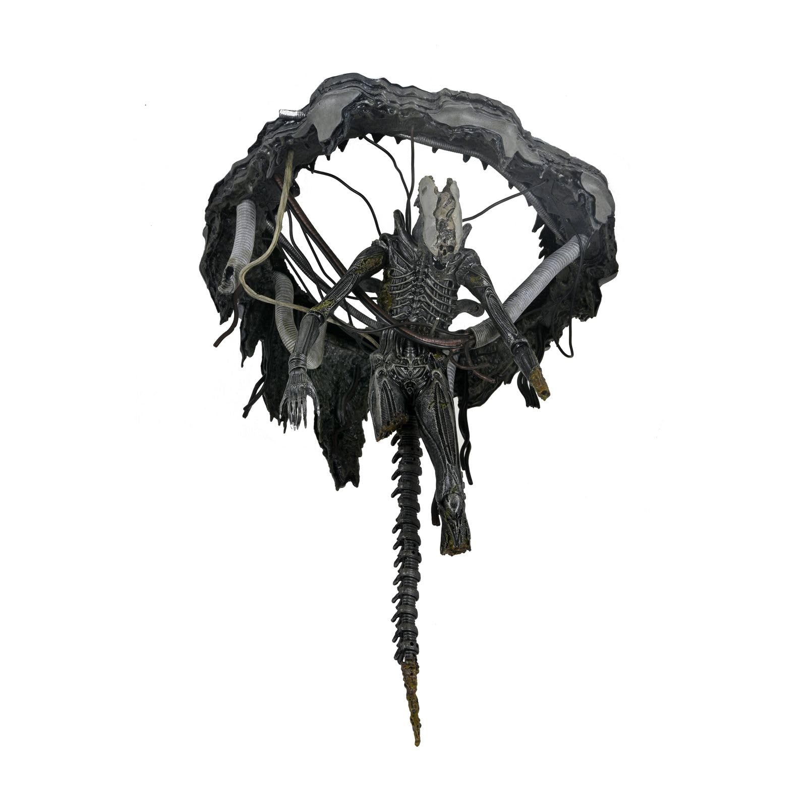 Amazon.com: Alien: Romulus - Deluxe Suspended Lab Xenomorph XX121
