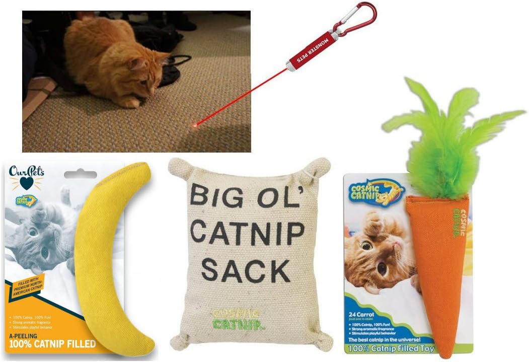100-Percent Catnip Filled Carrot Cat Toy, 24 Karat (4-Pack Cat Toy Bundle)