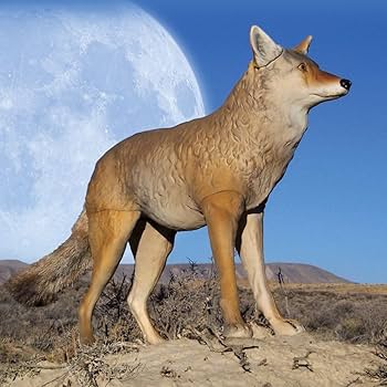 good and sin レンジャーコヨーテ good and sin レンジャーコヨーテ - テント・タープ