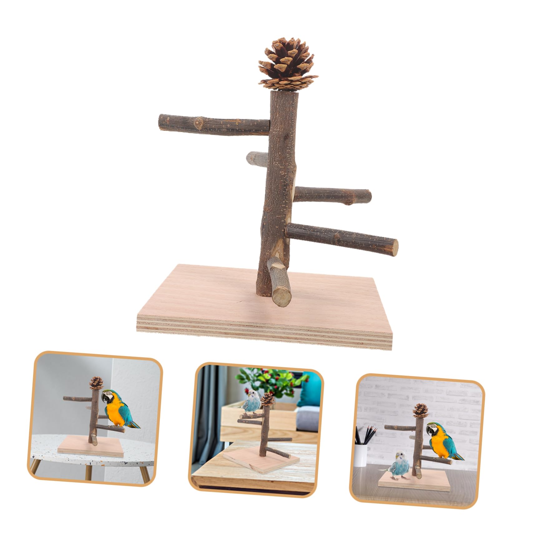 Yardwe 4 Piezas Marco de Entrenamiento de Loros Loro de Escritorio de Juguete Estante de Entrenamiento de pájaros Percha de Entrenamiento para periquitos Percha de pájaro de Madera