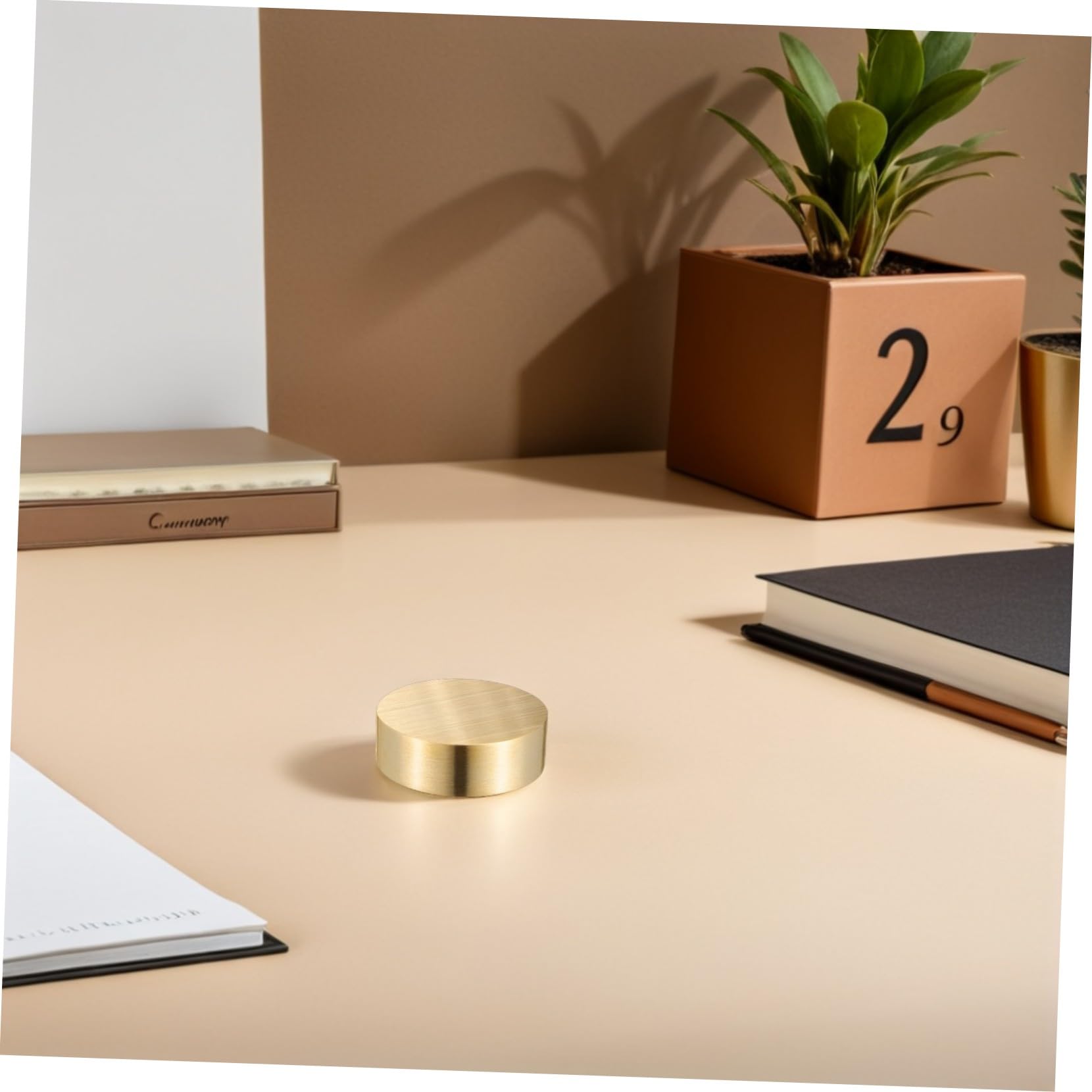 SOIMISS 2stücke Runder Briefbeschwerer Aus Messing Runder Briefbeschwerer Mit Chinesischer Kalligraphiemalerei Massiver Messing Für Zuhause Und Büro Und Block Für Schreiben Und Malen