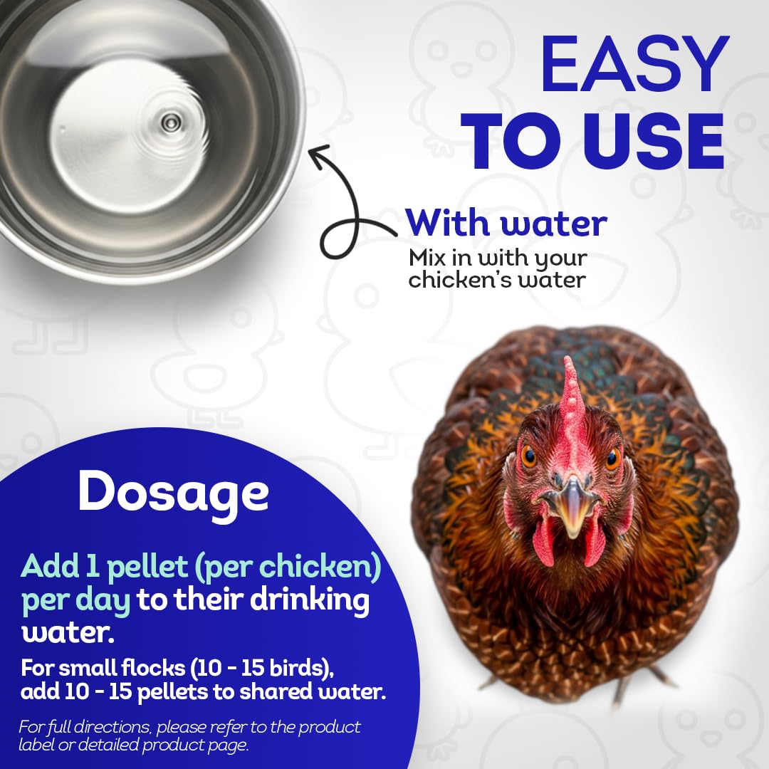 HealthyAnimals4Ever Suplemento respiratorio de pollo totalmente natural, ayuda respiratoria homeopática eficaz para pollos, 300 tabletas de apoyo respiratorio para pollos