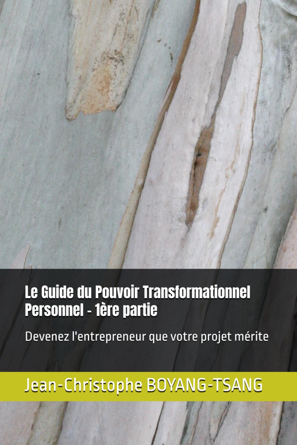 Le Guide du Pouvoir Transformationnel Personnel - 1ère partie: Devenez l'entrepreneur que votre projet mérite