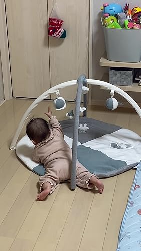 Amazon.co.jp: 【公式】アイデス ミッフィー エーデル ベビージム