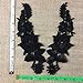 2 Pairs, Gorgeous Flower Venice Lace Applique Collar Pair, Black, 9"x3"