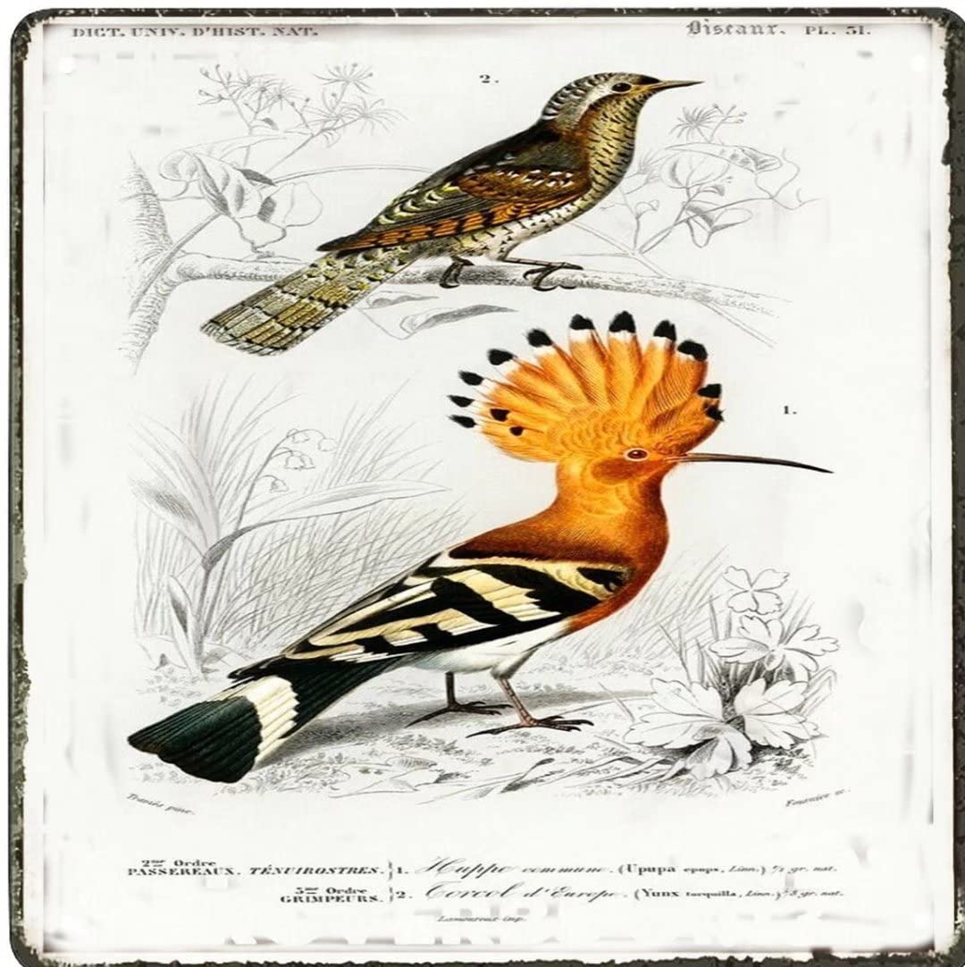 WZVZGZ Vintage Wall Poster Metal Plaque Vintage Hoopoe Farmhouse Sign Country Farm Kitchen Wall Home Garden Decor Art Signs Garage Decoration 12x12 Inch BarTavernPubClub Man Cave Wall Decor
