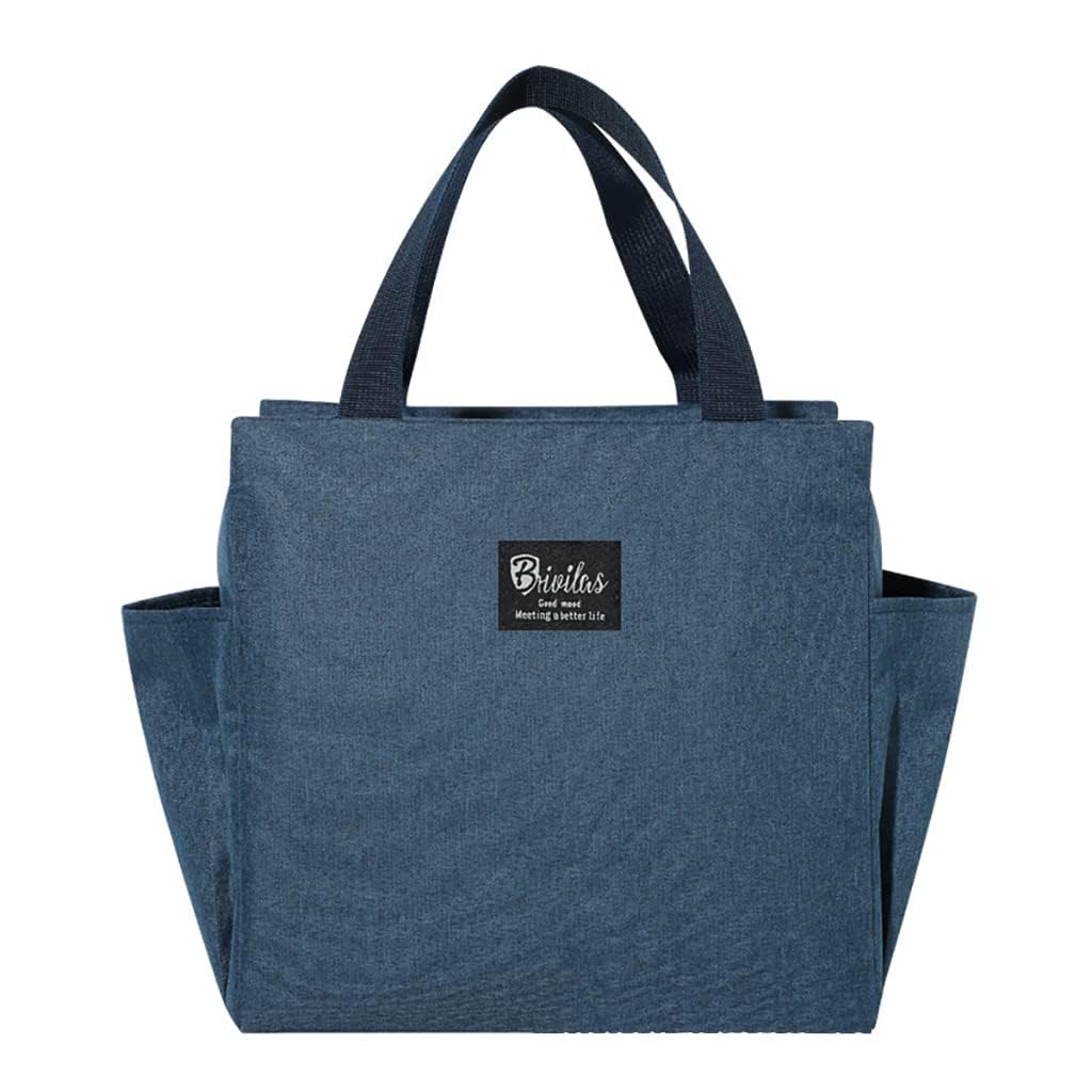SHAKTISM Lunch Bags Insulated Lunch Tiffin Carry Bag | Side Pocket Standared Size Hot Cold Bag for Office Travel School Picnic for Girls, Boys, Men & Women (Blue) (B0D7MSQGPD) Amazon Price History, Amazon Price Tracker