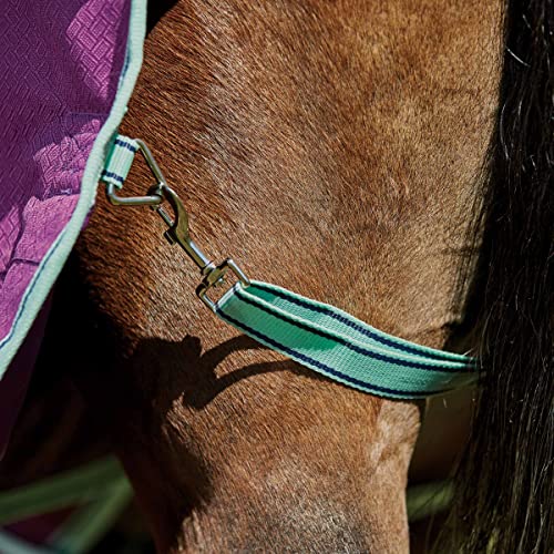 Image of WeatherBeeta ComFiTec Premier Freedom Pony Standard Neck Lite, Purple /Navy /Mint, 66 inch