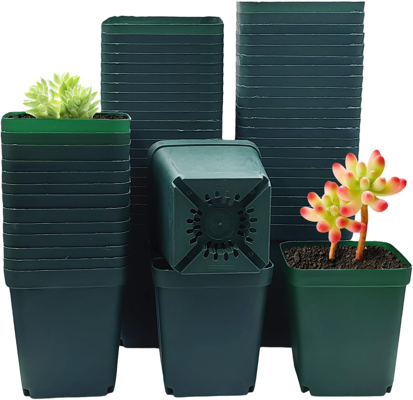 Square Greenhouse Pots 3.5 inch x 5 inch Black Plastic