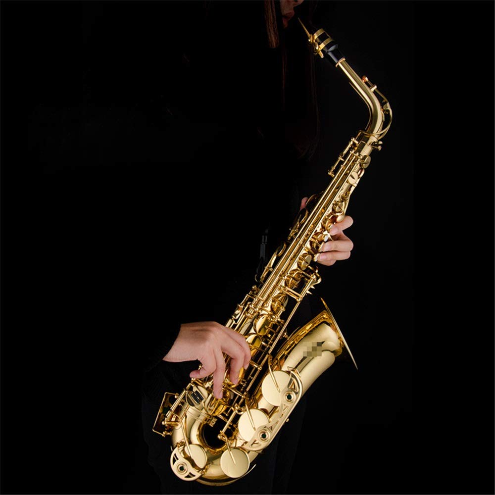 Amazon.co.jp: テナーサックス アルトサックス ケース、ストラップ