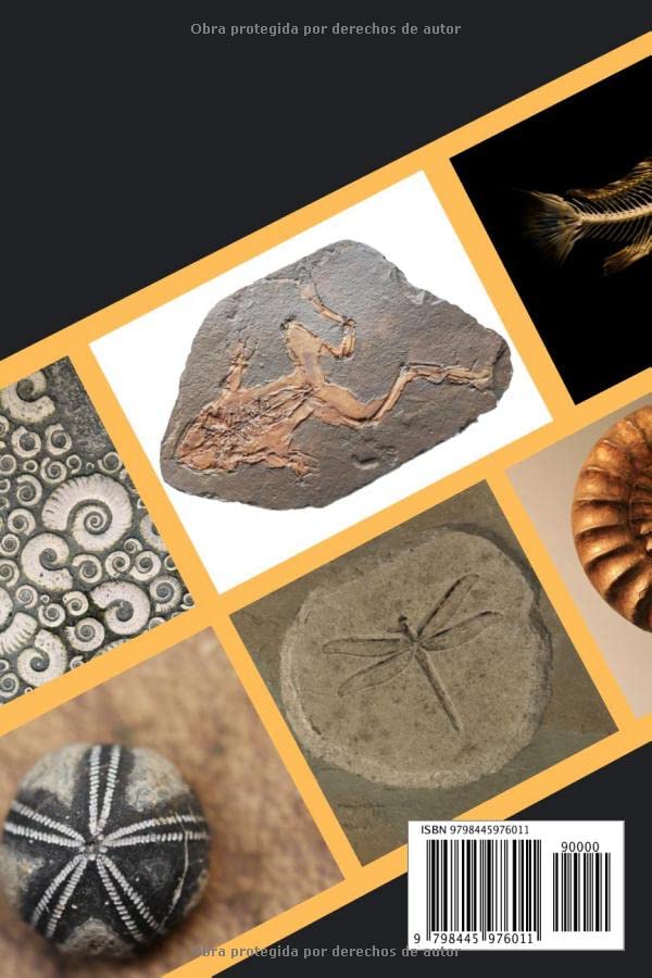 Miniatura 2 de FÓSILES. CUADERNO DE REGISTRO Lleve un seguimiento detallado de cada fósil de su colección Regalo práctico y creativo para amantes de la