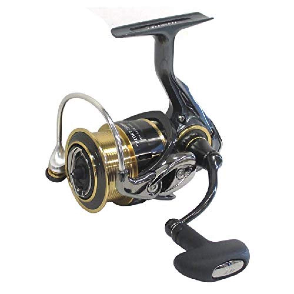リール DAIWA THEORY 2508PE-DH Daiwa reel 17 Theory 2508PE : Amazon.co.uk: Sports & Outdoors
