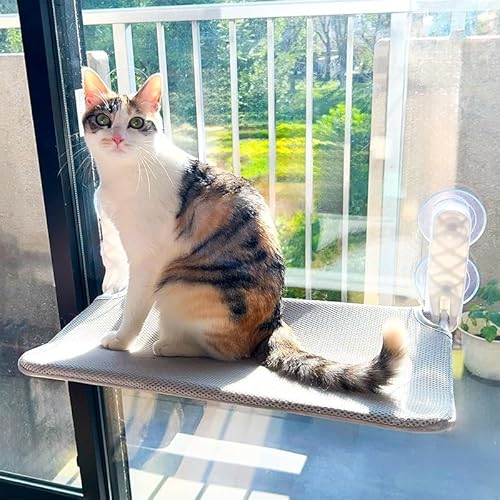 RutexcLpnbN zՎybgxbh 52×30cm ܏݉\ tړȒP ē~p 2ސnʎgp \ e TChɍœK L̓ɕ֗ȔLpi