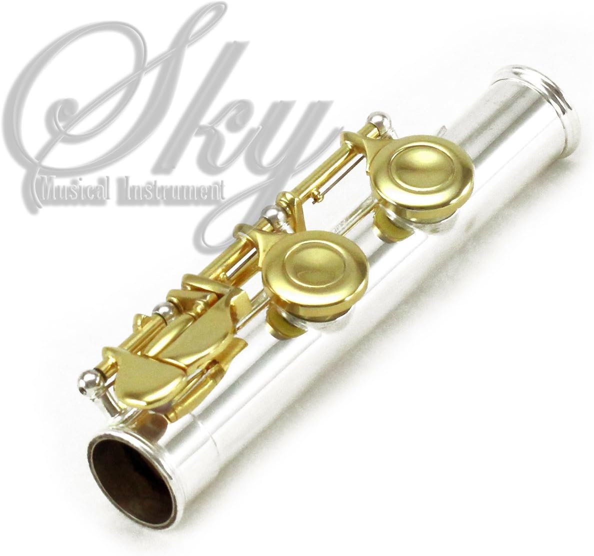 Sky C Flute with Lightweight Case, Cleaning Rod, Cloth, Joint Grease and Screw Driver - Silver/Gold Closed Hole