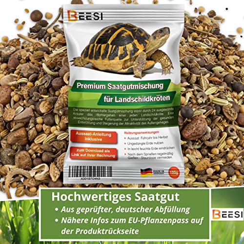 BEESI100g Schildkröten Samenmischung für Futterpflanzen inkl. Aussaat Anleitung, Kräuter