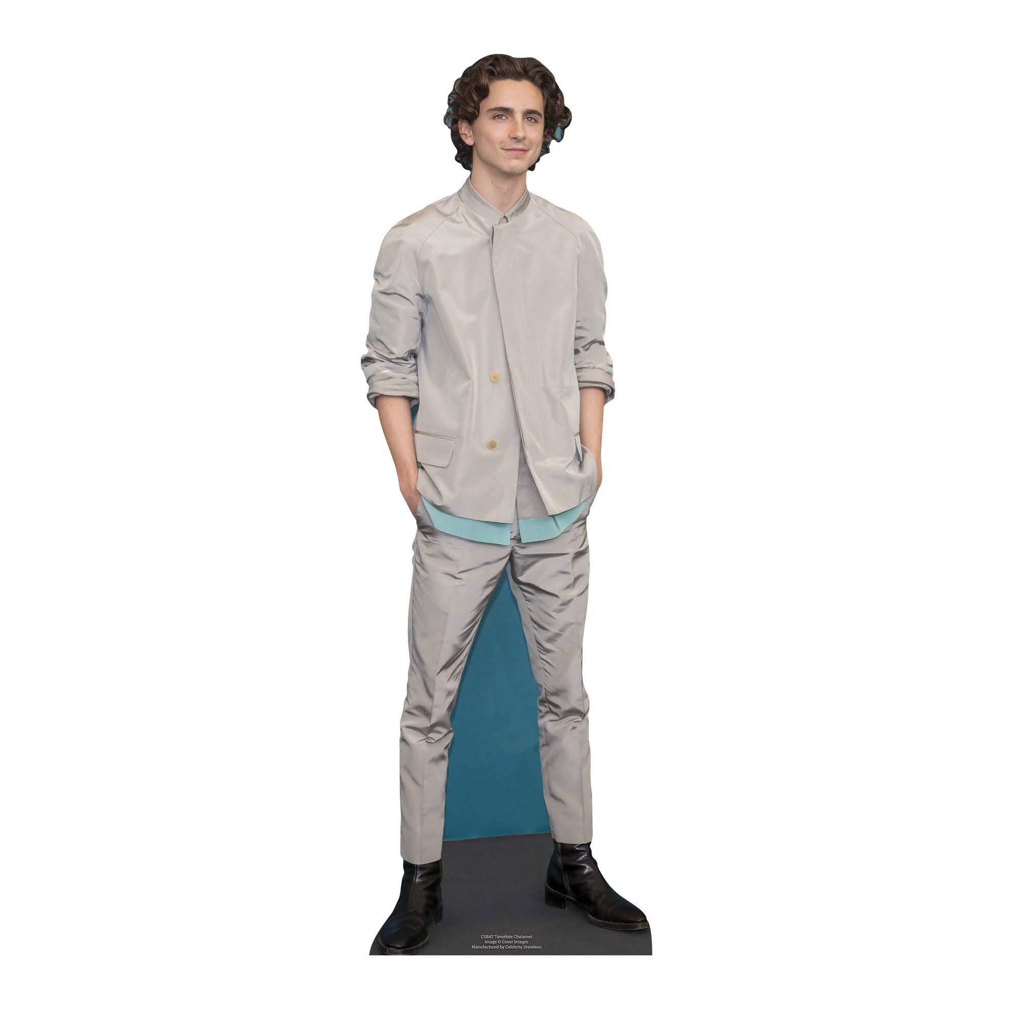 Timothee Chalamet Grey Outfit Celebrity Mini Cardboard Cutout