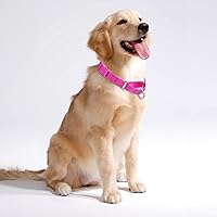 Vista 9 de Martingale Dog Collars - Reflective Dog Collar with Quick Release Buckle Adjustable Nylon Training Dog Collar for Puppy Small Medium Large Dogs