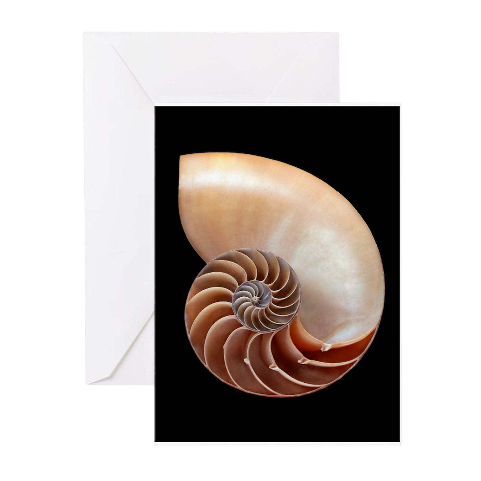 CafePress Nautilus Shell Greeting Cards Greeting Card (20-pack), Note Card with Blank Inside, Birthday Card Glossy