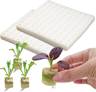 SDUSEIO 200 Pieces Hydroponic Sponge Hydroponic Grow Cubes Planting Gardening Tool Square for Greenhouse Hydroponic Sponge Vegetable Plant Growing Media Cube