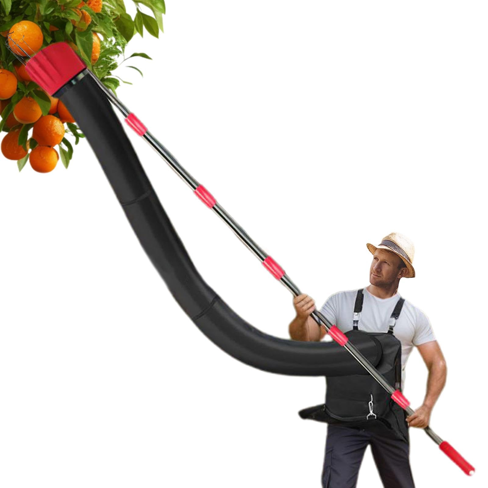 Cueilleur de Fruits Professionnel, cueilleur d'arbres fruitiers Cueilleur