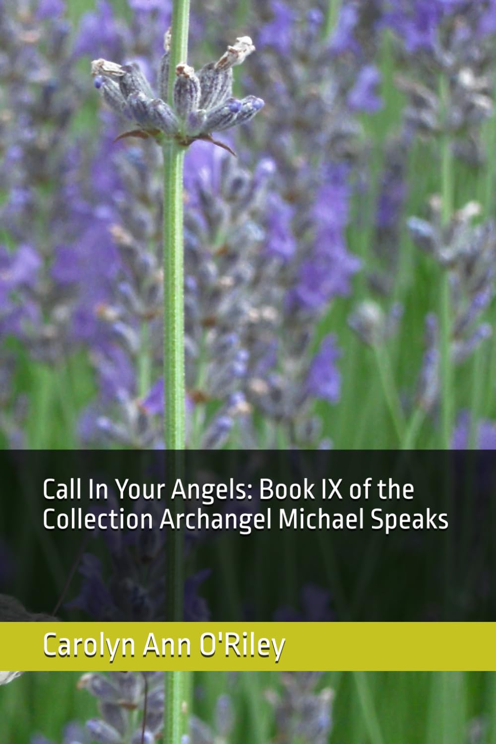 Call In Your Angels: Book IX of the Collection Archangel Michael Speaks