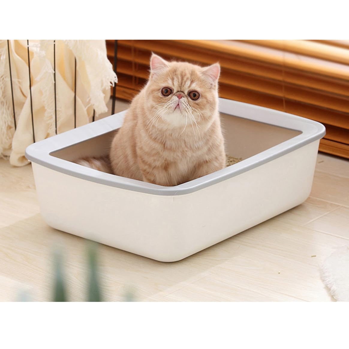 Amazon | [AP・Room] 猫用トイレ 四角 41*31*11 におい対策 M 48