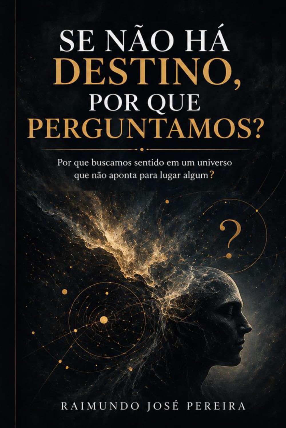 SE NÃO HÁ DESTINO, POR QUE PERGUNTAMOS?: Por que buscamos sentido em um universo que não aponta para lugar algum?