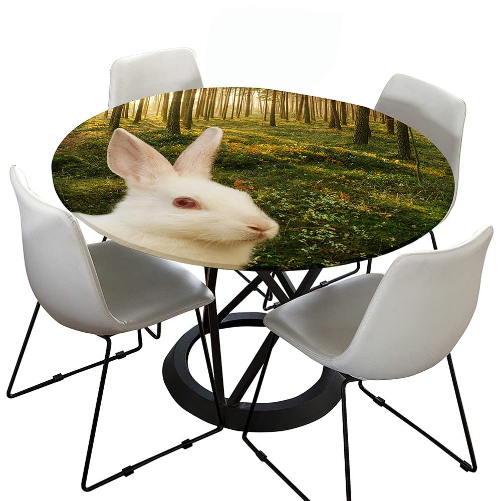 Lukery Nappe Ronde Avec Bord Élastique, Nappe De Table Essuyable Anti-Taches, Lapin 3D Nappe Bord Ajustable Pour Cuisine Jardin Exterieur Restaurants Décoration (Arbres,Diamètre 180cm