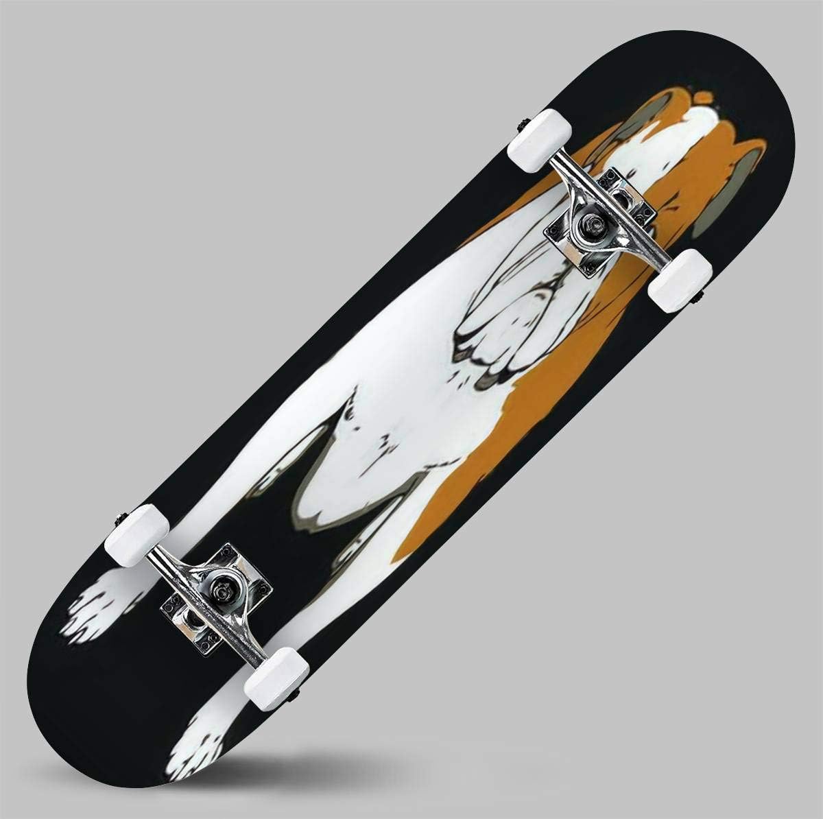 Seamless Beautiful Sparrow Pattern with Vintage Background and Flower Skateboard 31"x8" Double-Warped Skateboards Outdoor Street Sports Skateboard for Beginners Professionals Cool Adult Teen Gifts Color9 Color image 4 of 6 B092875KZ7