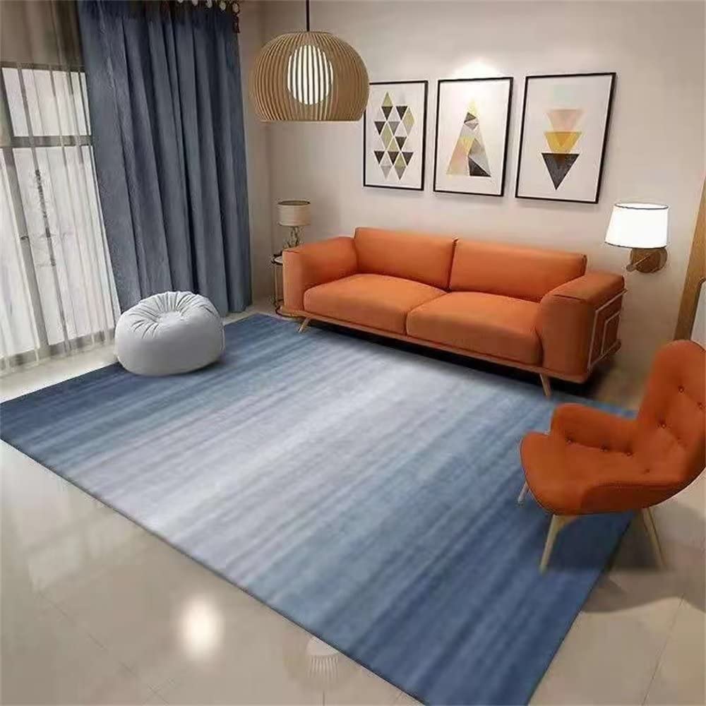 Tapis de salon propre et doux pour éviter les glissades 160x230