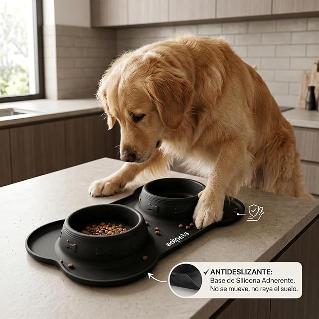 Foto 5 de 7 de Edipets, Comedero Perro Gato y Mascotas, Bebedero Perro Gatos, Doble Plato Extraíble de Acero Inoxidable…