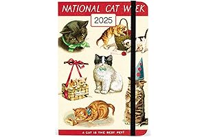 Cavallini Papers & Co. Cats 2025 Pocket Weekly Planner, 4"x6"