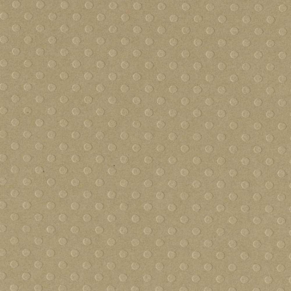 ROPE SWING 12x12 Cardstock by Bazzill | 80 lb Embossed Dot Paper | Perfect for Cardmaking, Die-cut & Paper Crafting Supplies | 25 Sheets per Pack