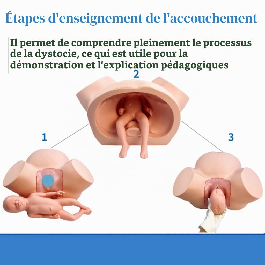 Mannequin de démonstration d'accouchement féminin modèle d'entraînement avancé de sage-femme simulateur d'accouchement standard pour l'enseignement médical