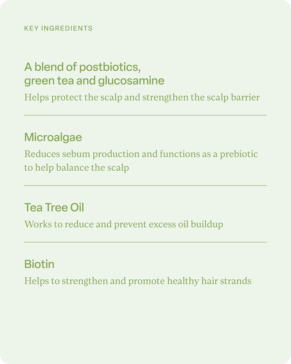 Divi Shampoo and Conditioner Set for Women and Men - Hair Care Duo for All Hair Types, Adds Volume, Lift, and Bounce, Strengthens and Nourishes Hair - Full Size, 2 x 12 Fl Oz - Image 5