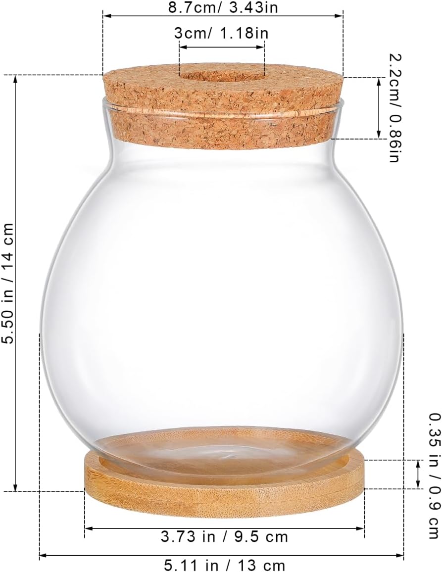 POPETPOP Desktop Glass Fish Bowl - Round Small Fish Tank with Wood Stopper & Bamboo Mat, Clear Glass Betta Fish Bowl for Succulent Plants, Hydroponic Air Plant (5.1X5.5 in)