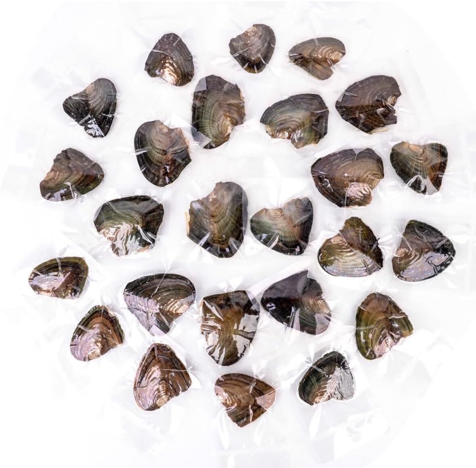 anso 25pcs Natural Freshwater Cultured Pearl Oyster with Real Pearls 7-8mm Pearl Individually Vacuum Pack