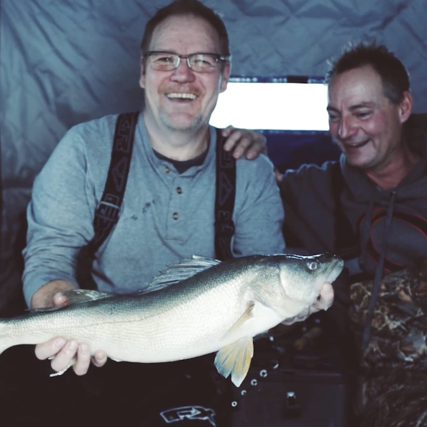 Wabiący ryby (tuba po 3 sztuki) (Walleye)
