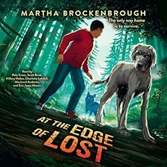 At the Edge of Lost Audiolibro Por Martha Brockenbrough arte de portada