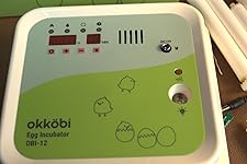 Review Image by Bren Bren