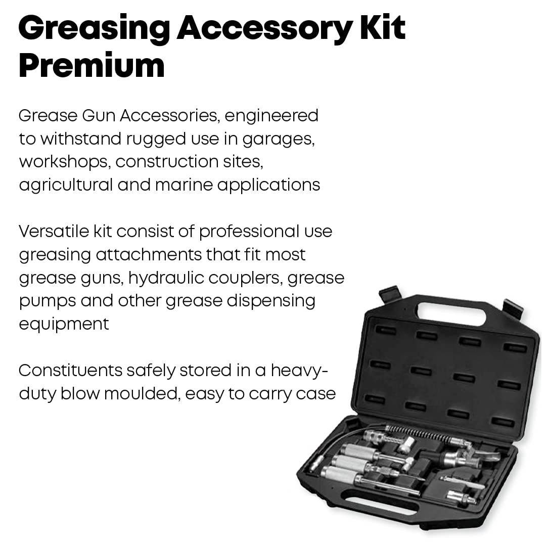PROLUBE 44959 Kit de accesorios de engrasado de 8 piezas