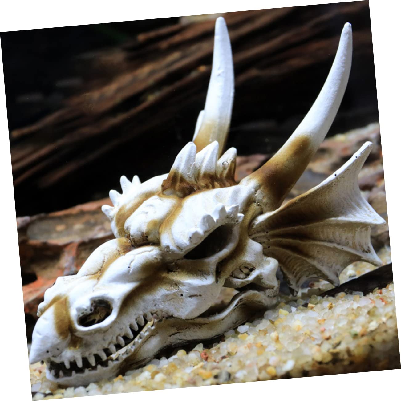 BESPORTBLE Décoration De Crâne De Dinosaure Résine pour Aquarium Accessoire De Paysage Naturel pour Réservoir Eau Et Terrarium Décoratif Et Durable pour Poissons Et Reptiles