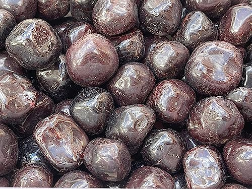 Image of GAF TREASURES 1 /2 LB Garnet Tumbled Stones, Polished Garnet Gemstone, Garnet Healing Crystals (Garnet)