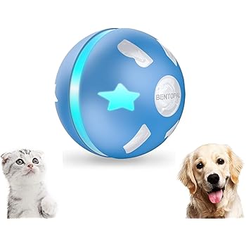motion activated dog toys