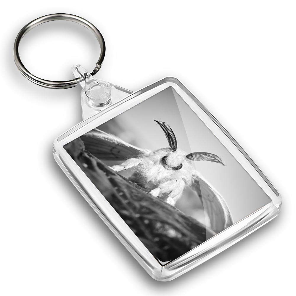 Destination Vinyl Ltd 1 x Photo Keyring - Silkworm Moth Insect Macro Nature |Keychain|Keyring|Charm| #43527