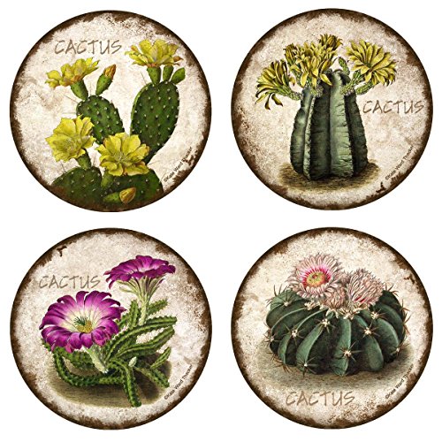 Thirstystone Stoneware Coaster Set, Cactus Flowers
