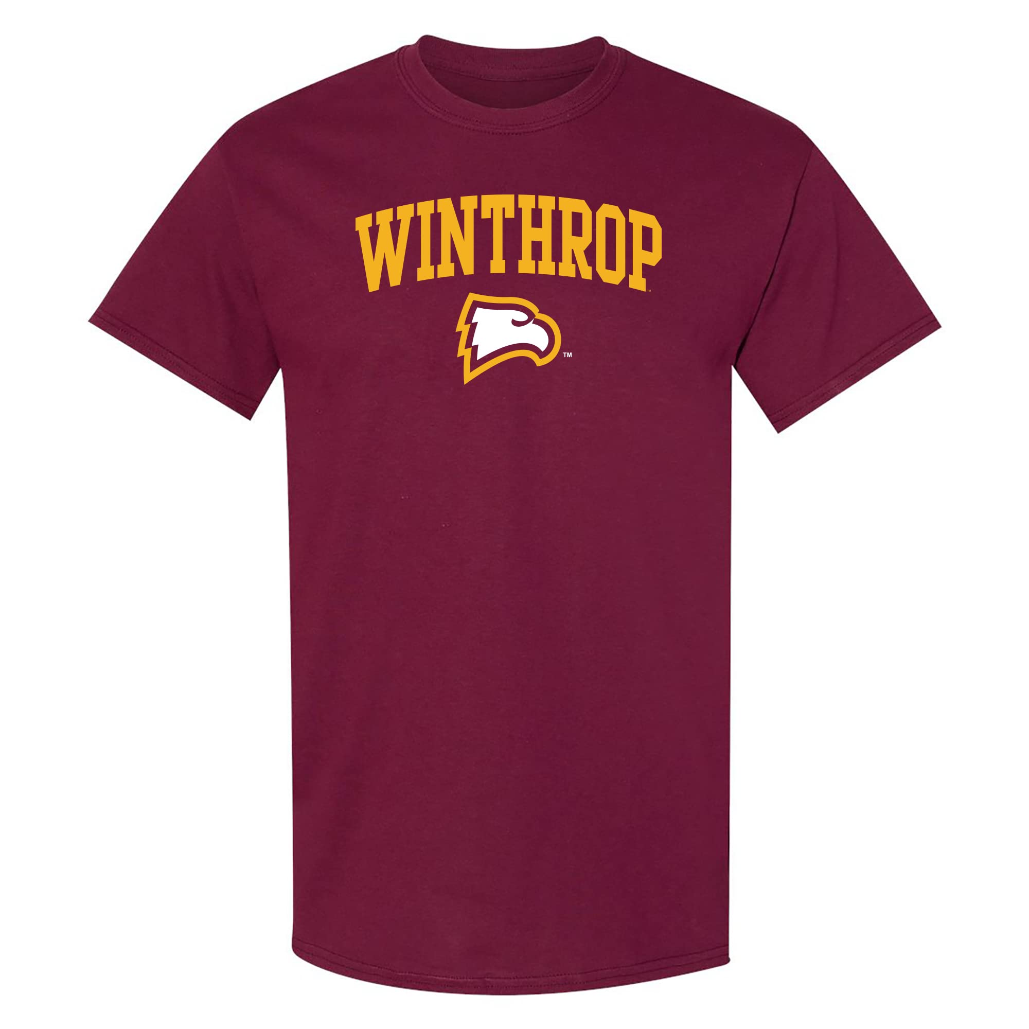 NCAA Arch Logo - NCAA Sports Team Color T Shirt — view 154