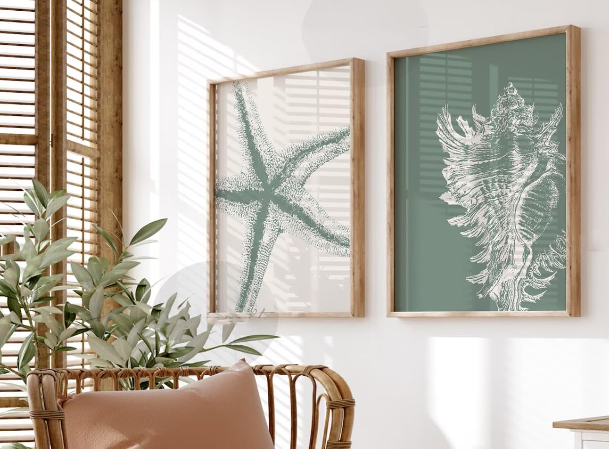 NATVVA 2 Pieces Coastal Print Poster Wall Art Canvas Artwork Wall Decor Sage Green Sea Star Seashell Prints Painting Art Prints Picture Beachy Home Decoration No Frame