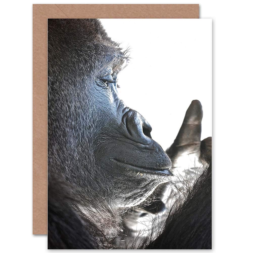 Wee Blue Coo GREETINGS CARD BIRTHDAY GIFT ANIMAL PHOTO APE GORILLA CLOSE UP HEAD